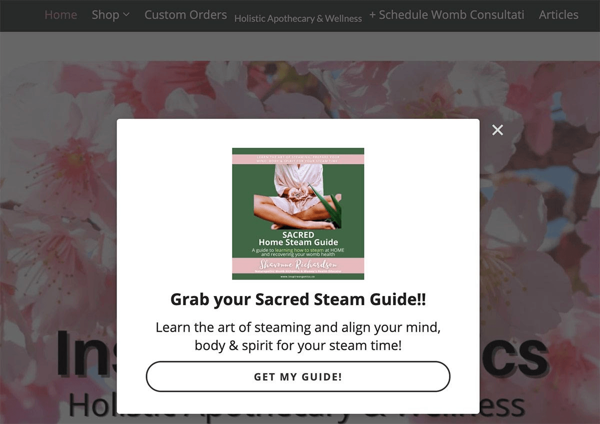 Splash page example from Inspire Organics Splash page example from Inspire Organics